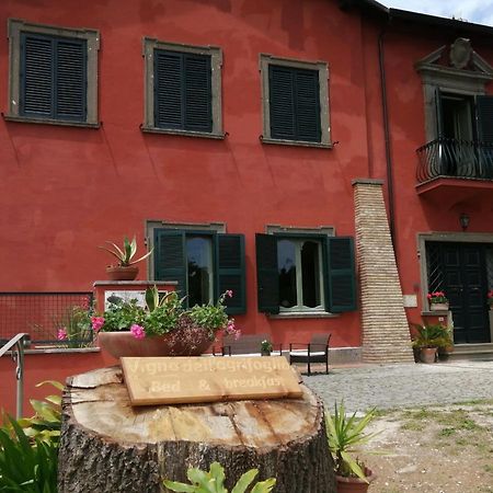 Vigna Dell'Agrifoglio - Bed And Breakfast Велетри Екстериор снимка